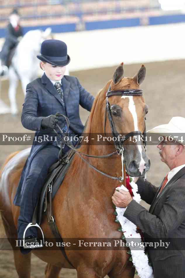 Proof 15R11_01674
