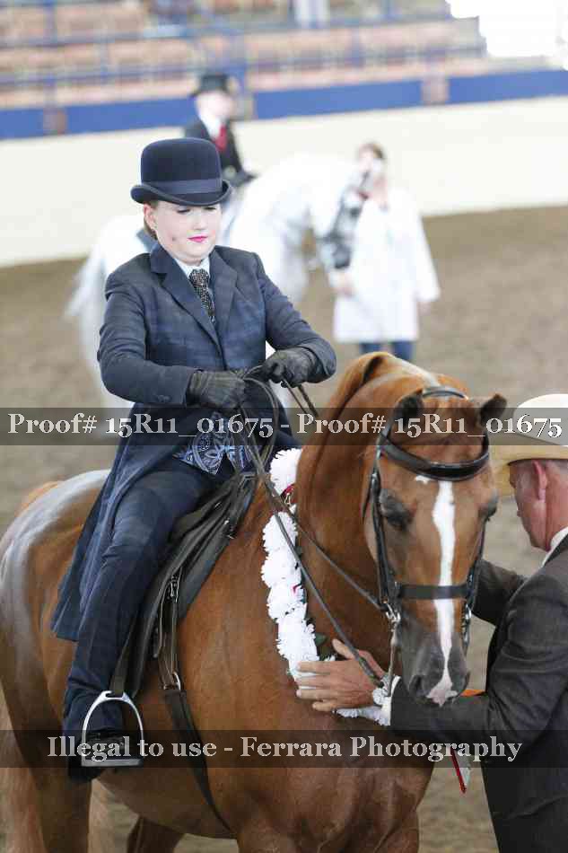 Proof 15R11_01675