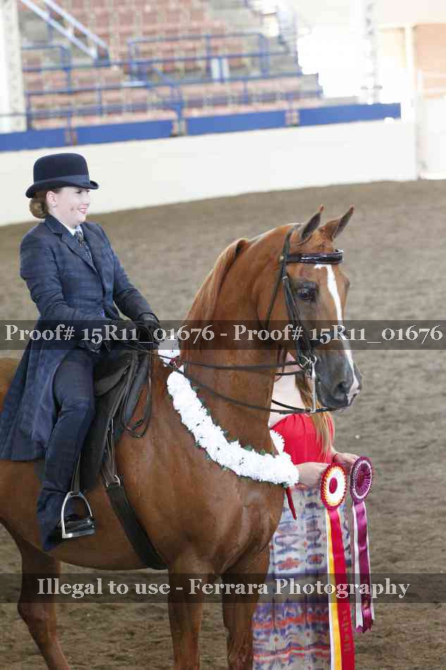 Proof 15R11_01676