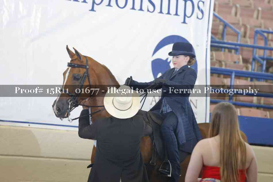 Proof 15R11_01677