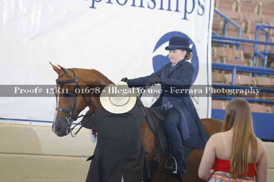 Proof 15R11_01678