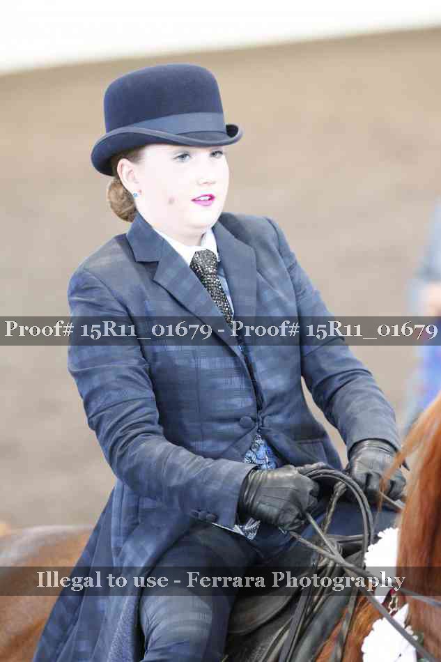 Proof 15R11_01679