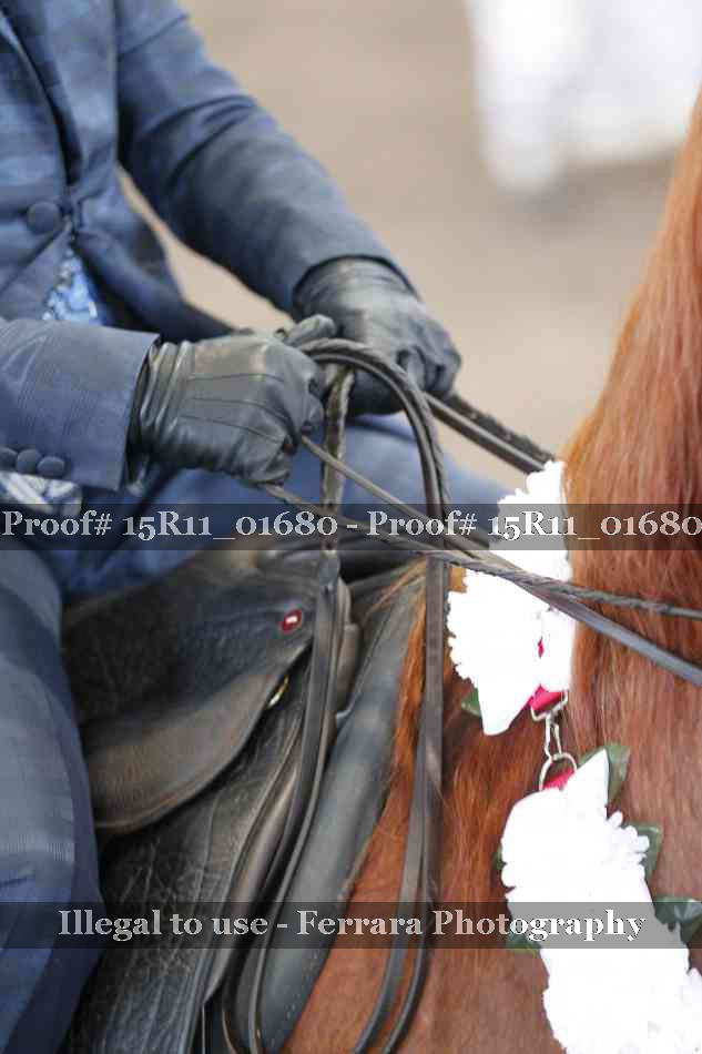 Proof 15R11_01680
