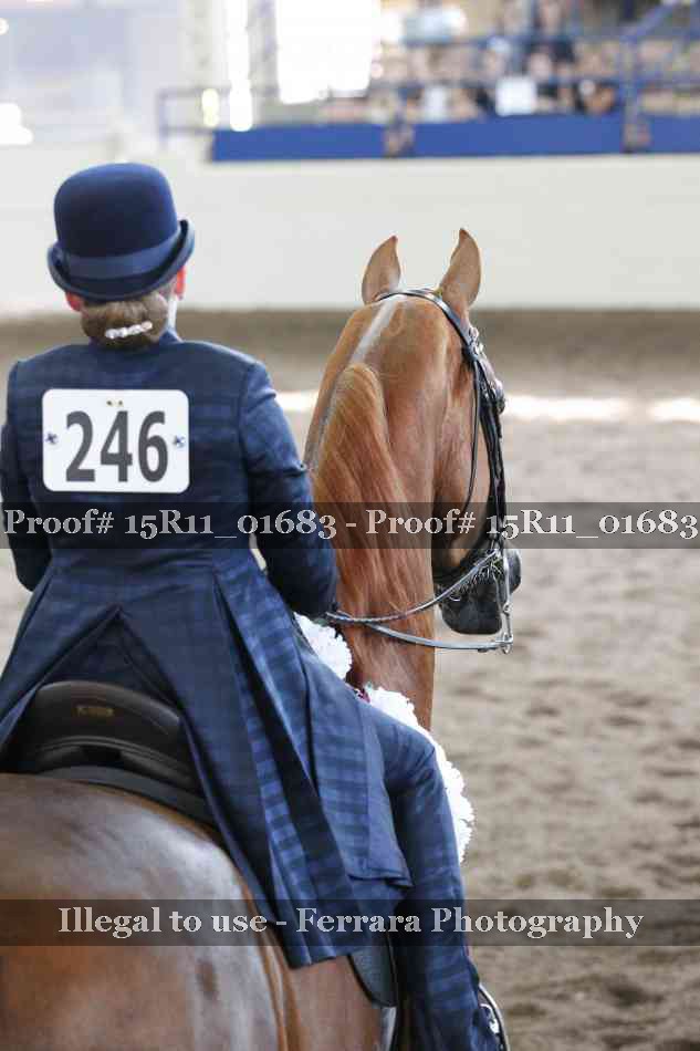 Proof 15R11_01683
