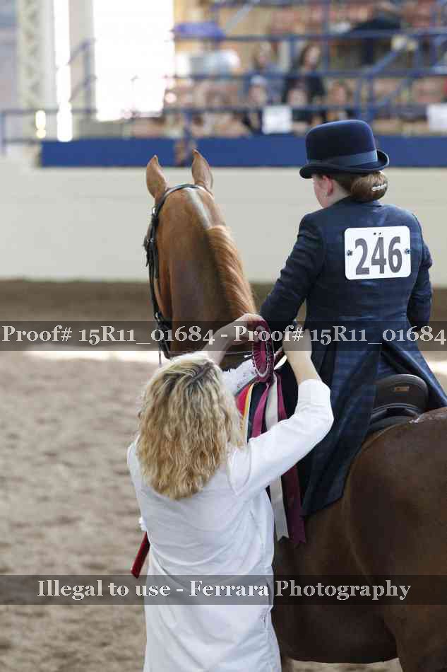 Proof 15R11_01684