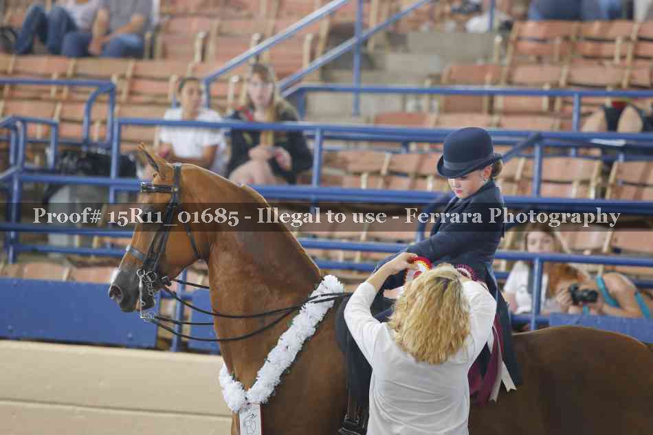 Proof 15R11_01685