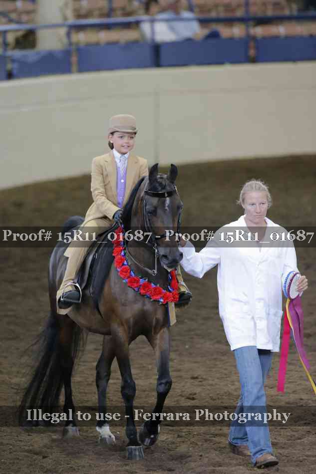 Proof 15R11_01687