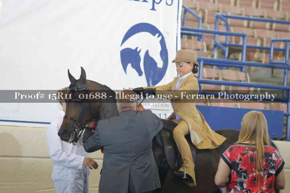 Proof 15R11_01688