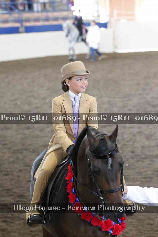 Proof 15R11_01689