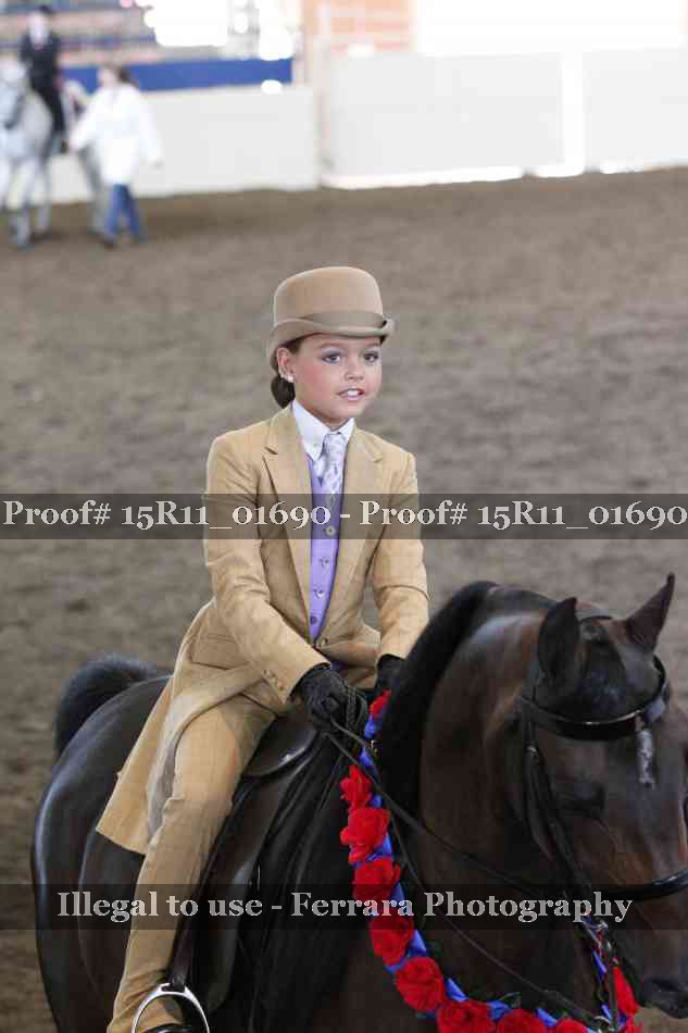 Proof 15R11_01690