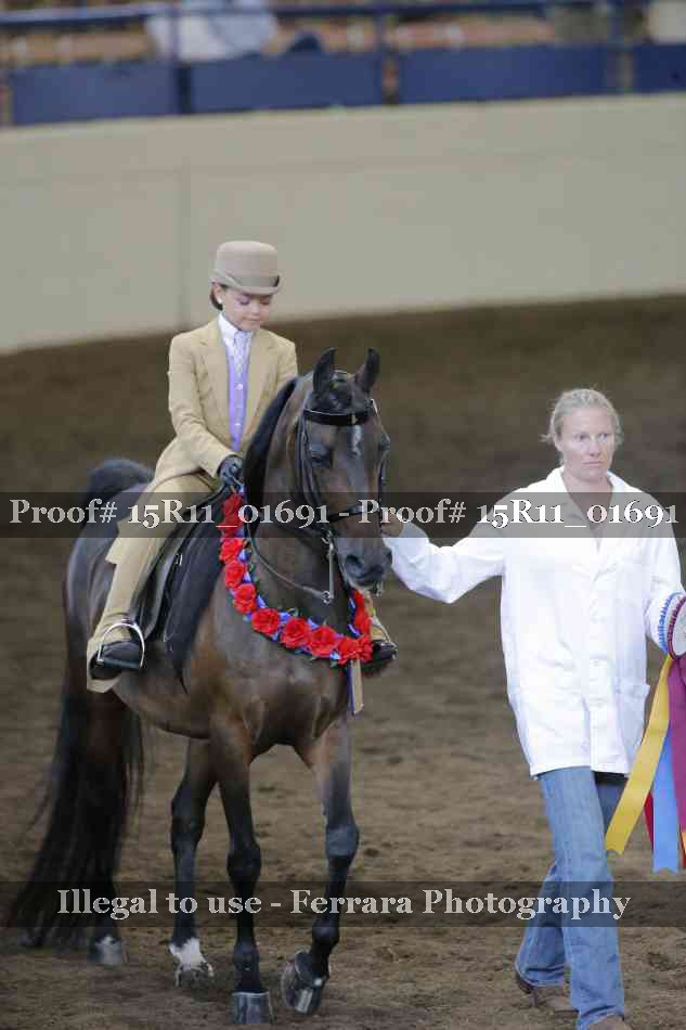 Proof 15R11_01691