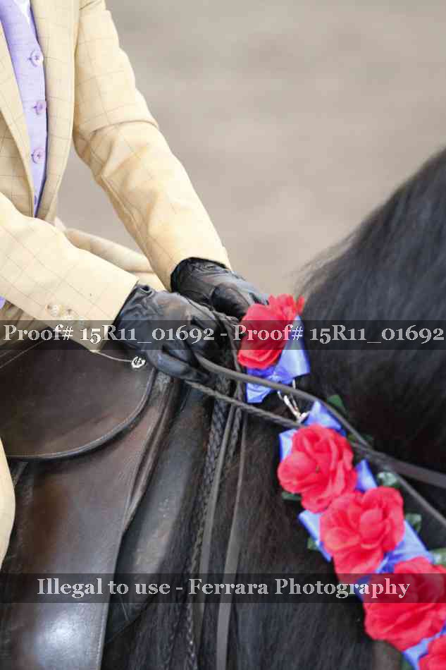 Proof 15R11_01692