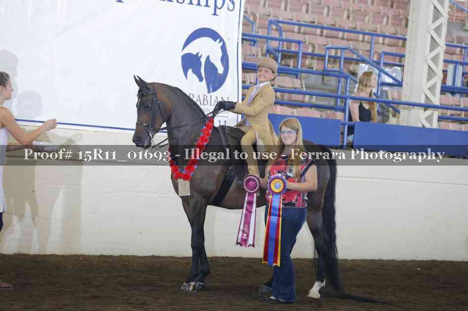 Proof 15R11_01693