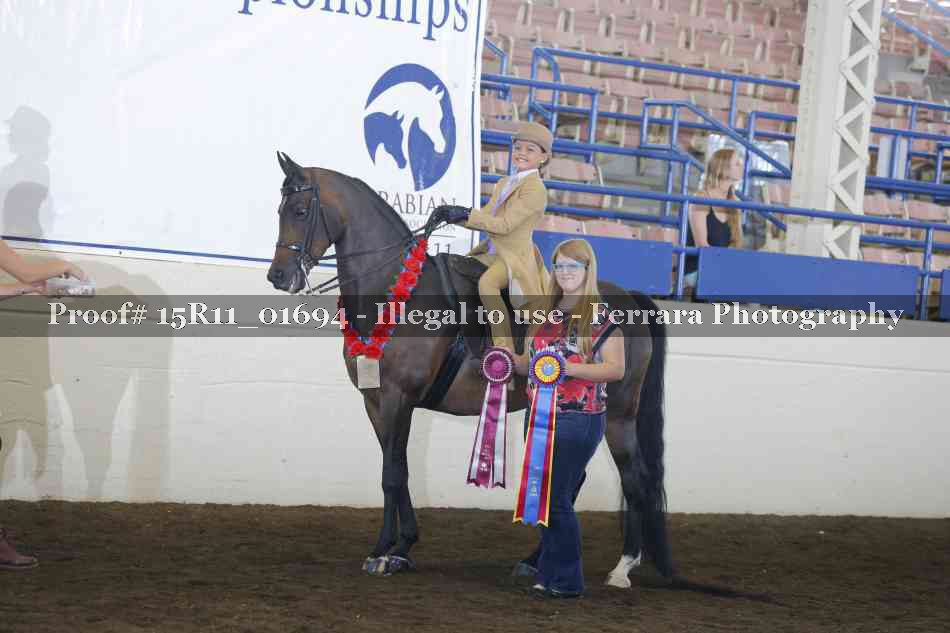 Proof 15R11_01694