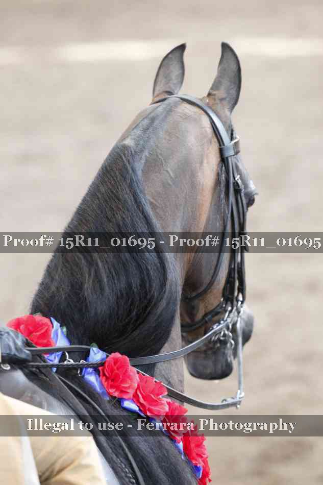 Proof 15R11_01695