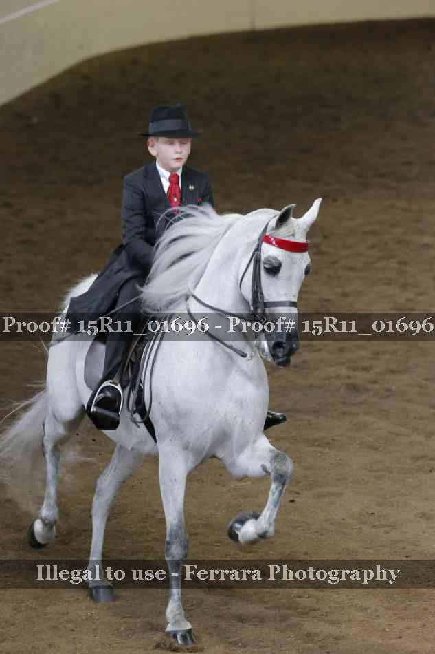 Proof 15R11_01696