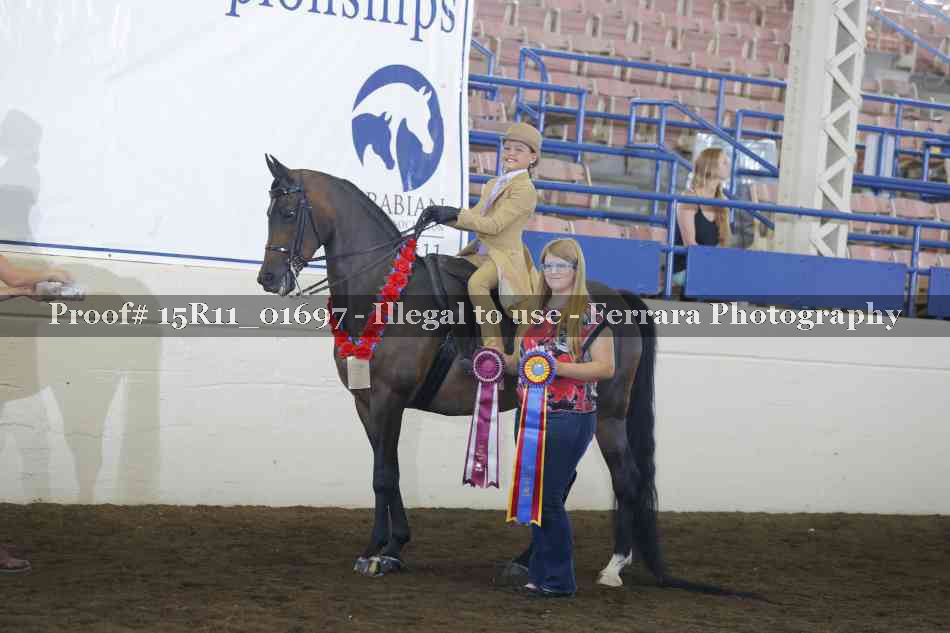 Proof 15R11_01697