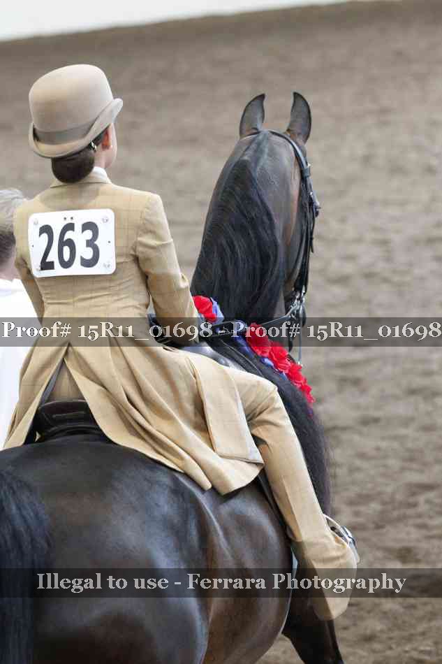 Proof 15R11_01698