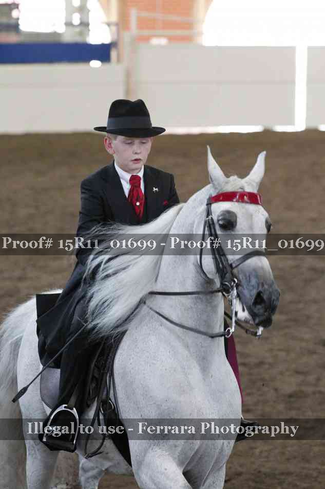 Proof 15R11_01699