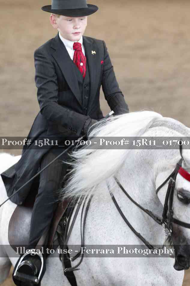 Proof 15R11_01700