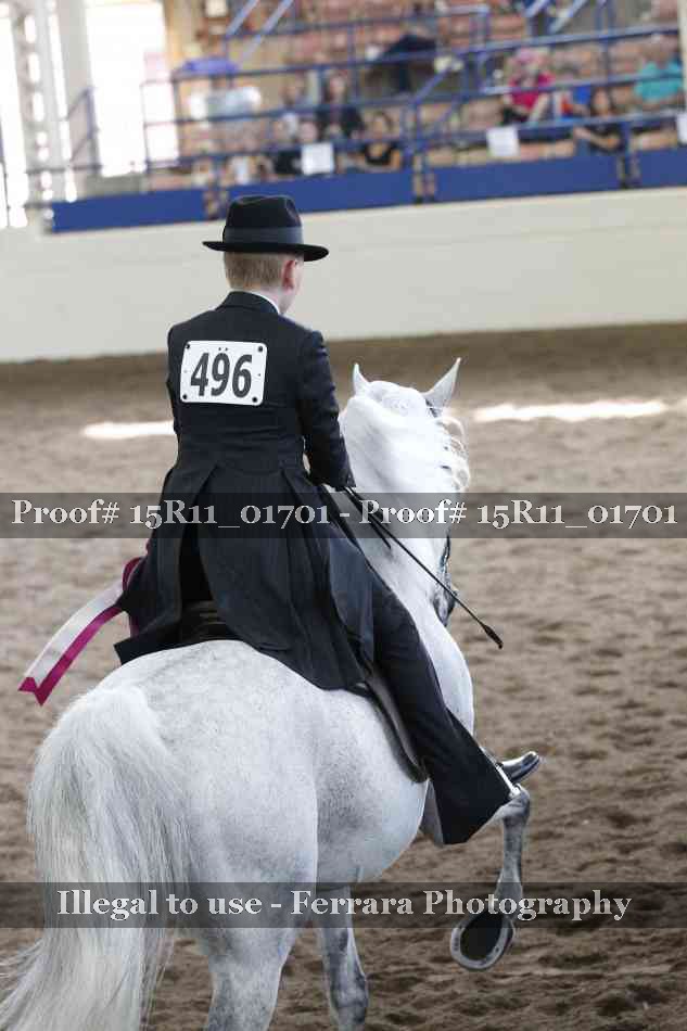 Proof 15R11_01701