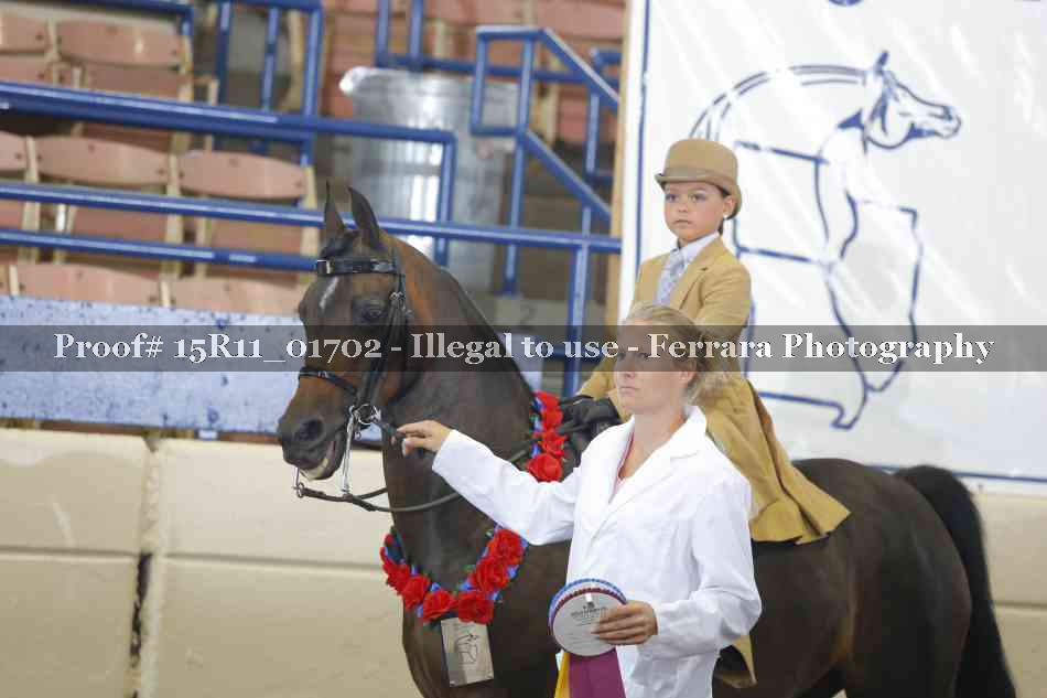 Proof 15R11_01702