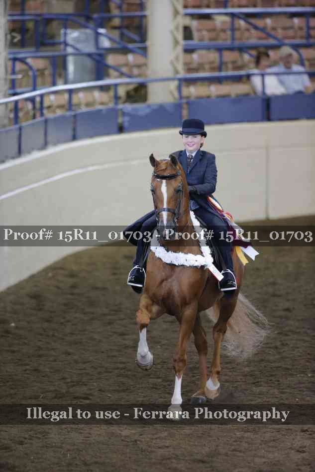 Proof 15R11_01703