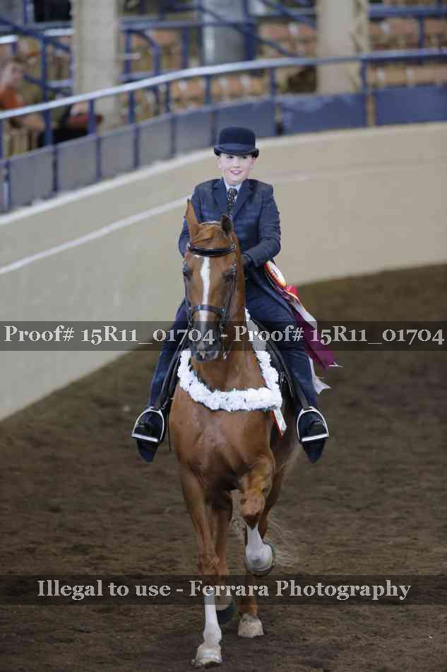 Proof 15R11_01704