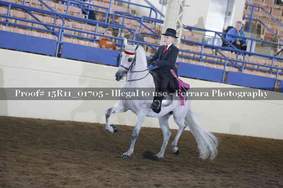 Proof 15R11_01705