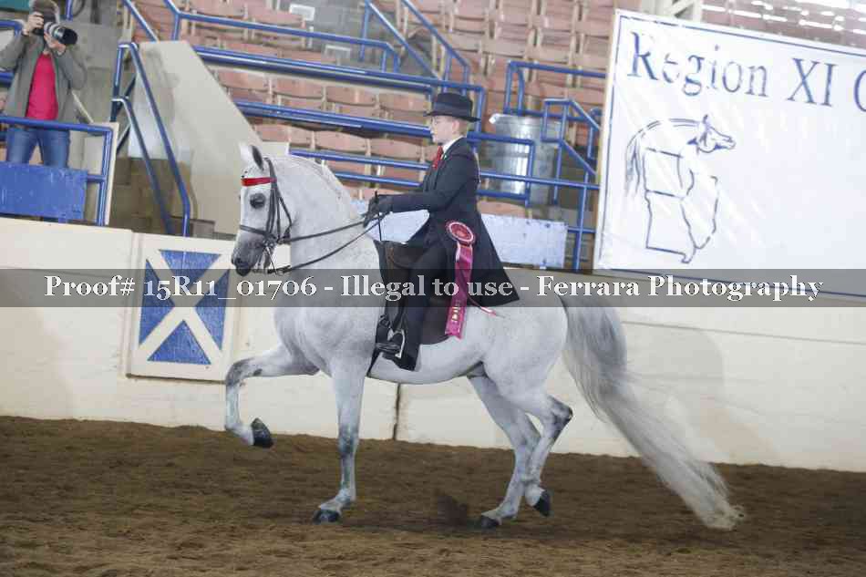 Proof 15R11_01706