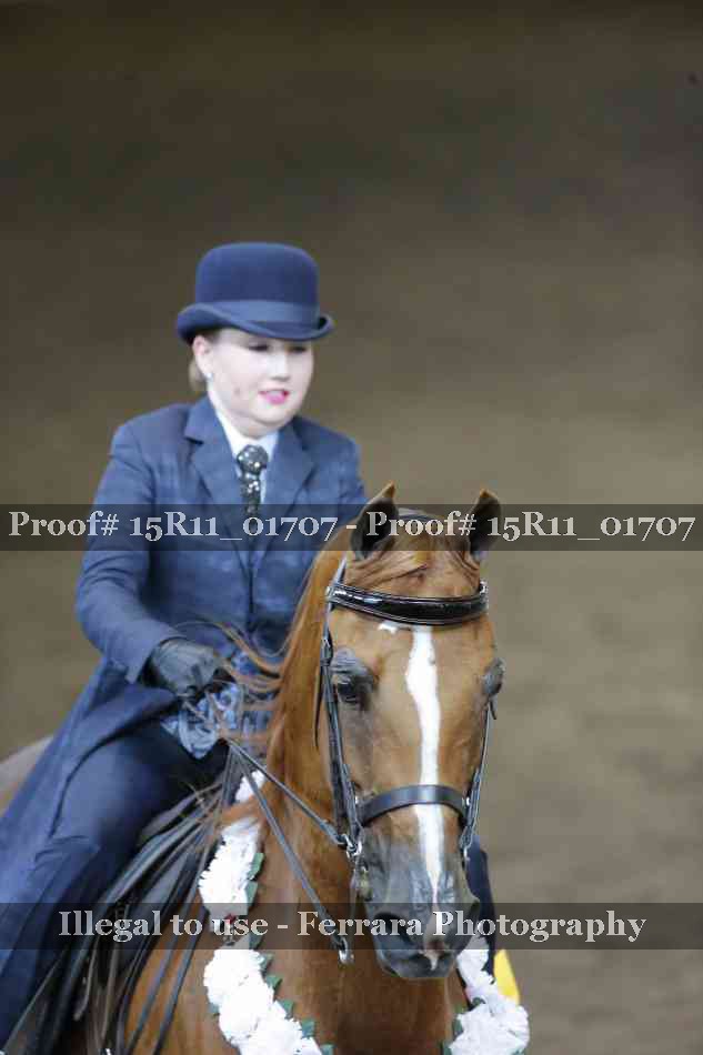 Proof 15R11_01707