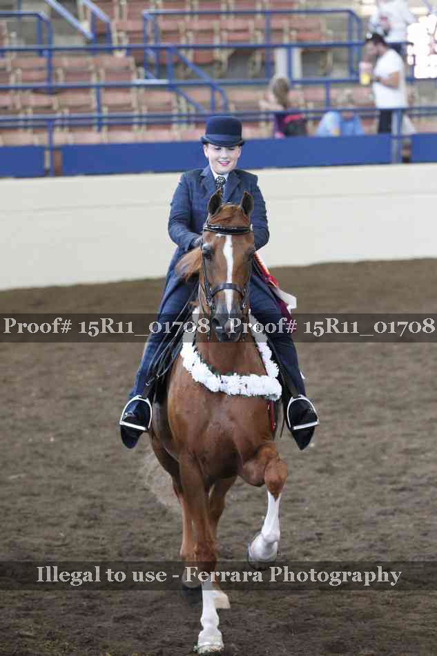 Proof 15R11_01708