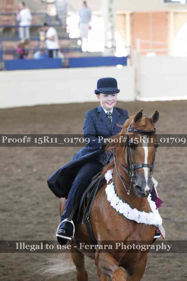 Proof 15R11_01709