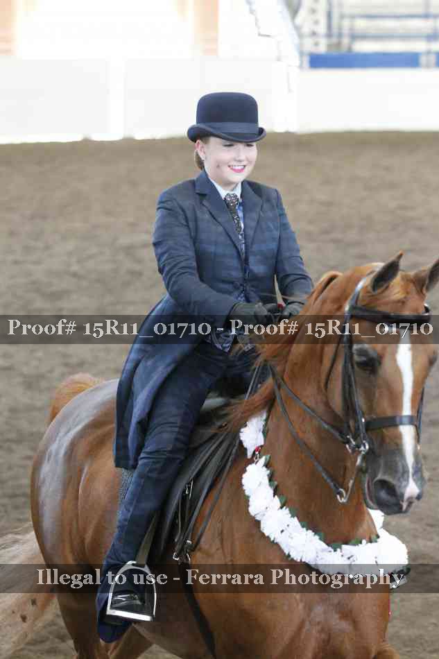 Proof 15R11_01710