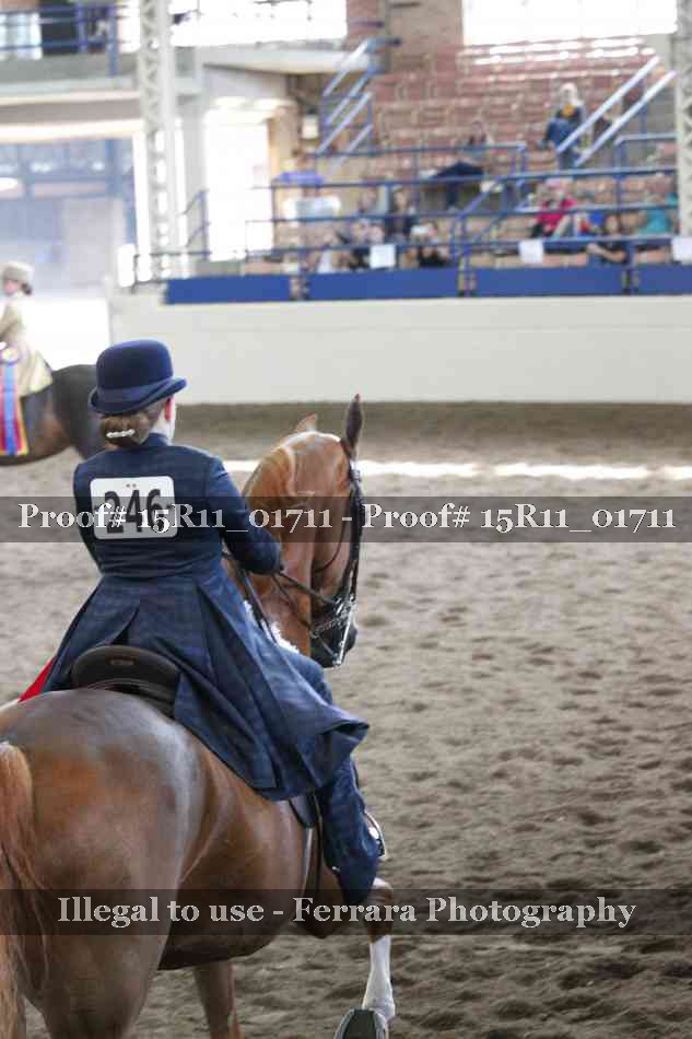 Proof 15R11_01711