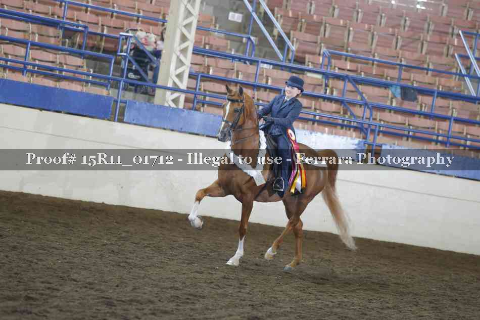 Proof 15R11_01712
