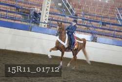 15R11_01712 proof