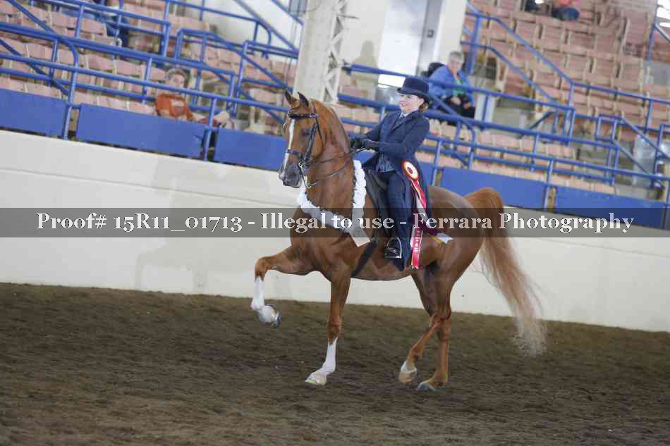 Proof 15R11_01713