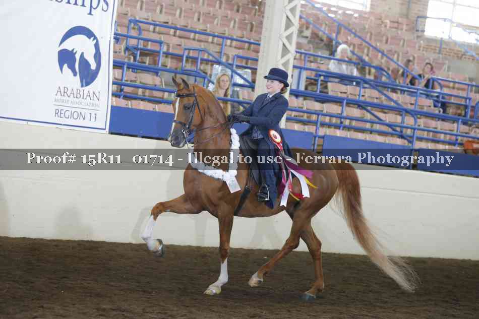 Proof 15R11_01714