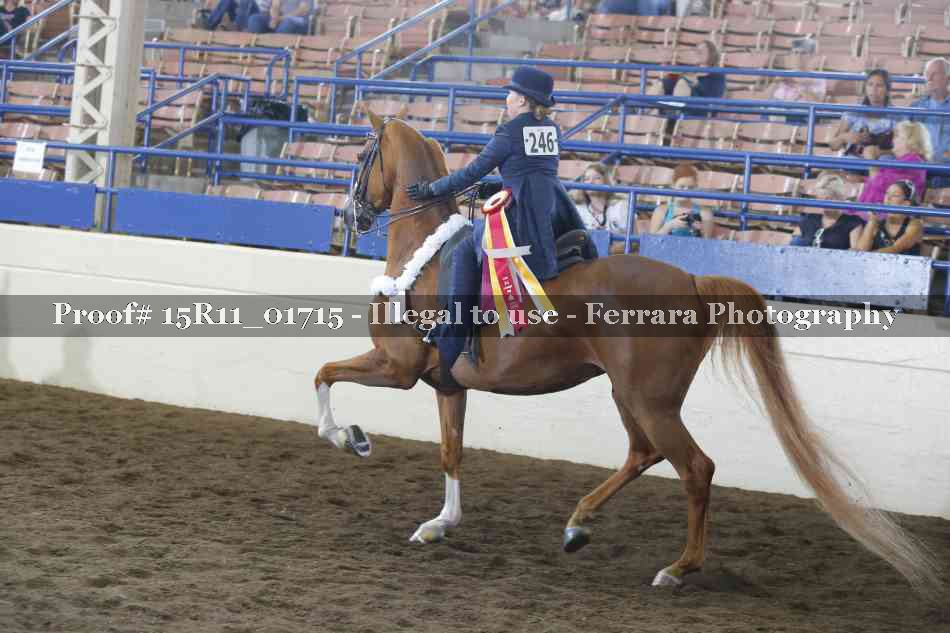 Proof 15R11_01715