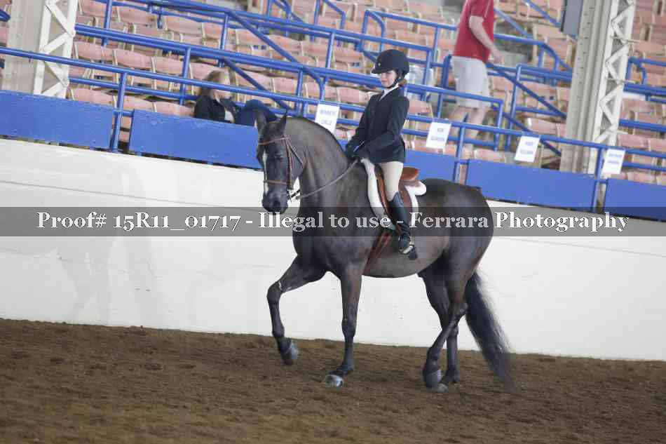 Proof 15R11_01717