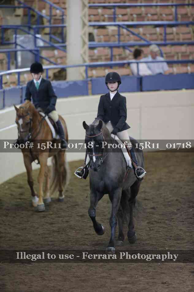 Proof 15R11_01718