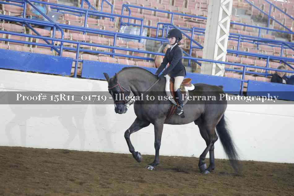 Proof 15R11_01719