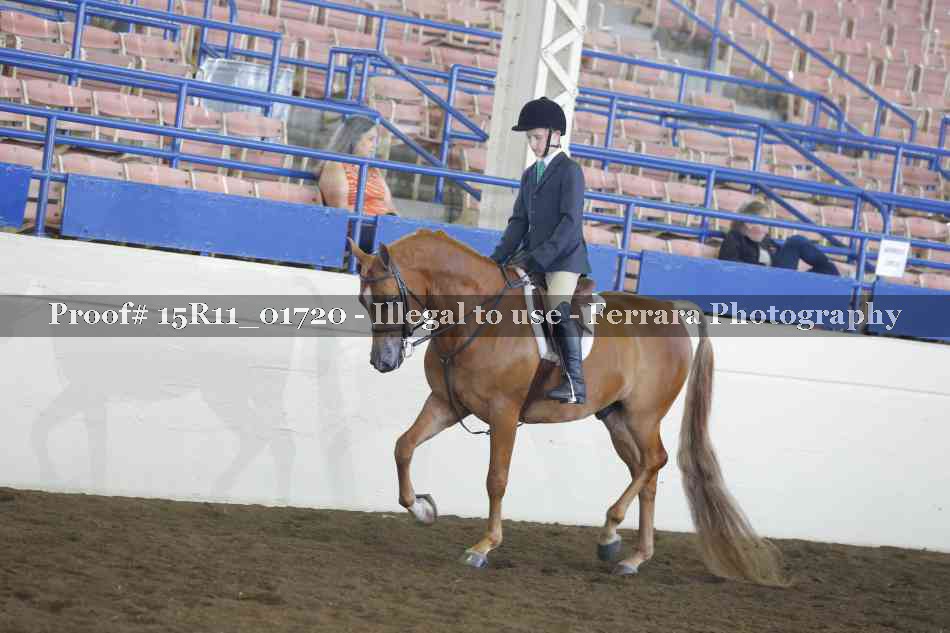 Proof 15R11_01720