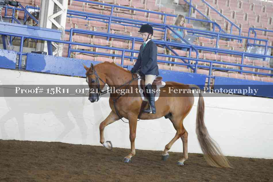 Proof 15R11_01721