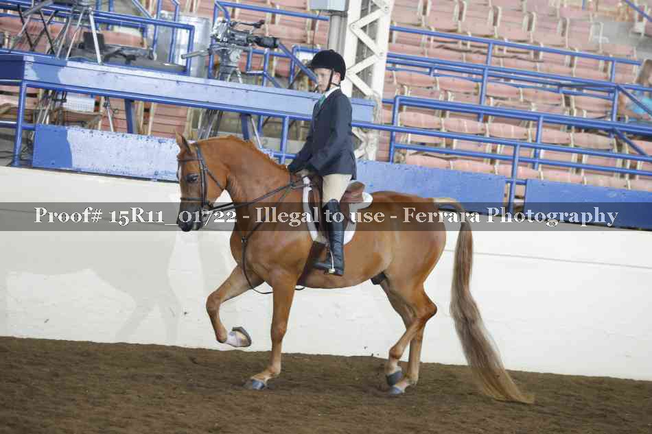 Proof 15R11_01722