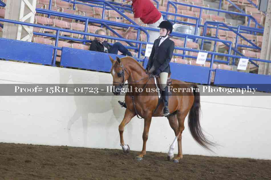 Proof 15R11_01723