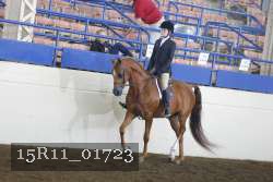15R11_01723 proof