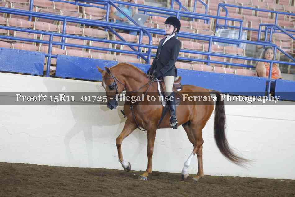 Proof 15R11_01725