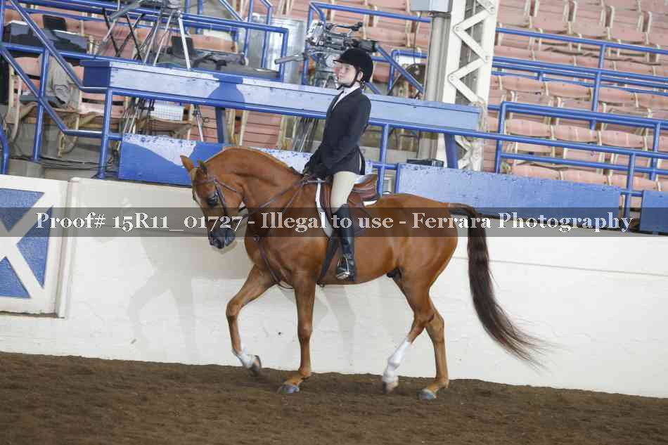 Proof 15R11_01727